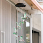 Hanging Hummingbirds