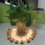 Solar Cork Fairy Lights