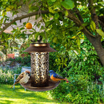 Solar Lamp Bird Feeder