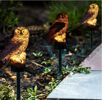 Solar Owls