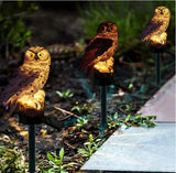 Solar Owls