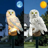 Solar Owls