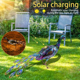 Solar Peacock