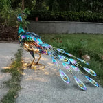 Solar Peacock