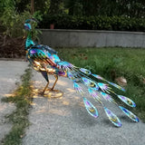 Solar Peacock